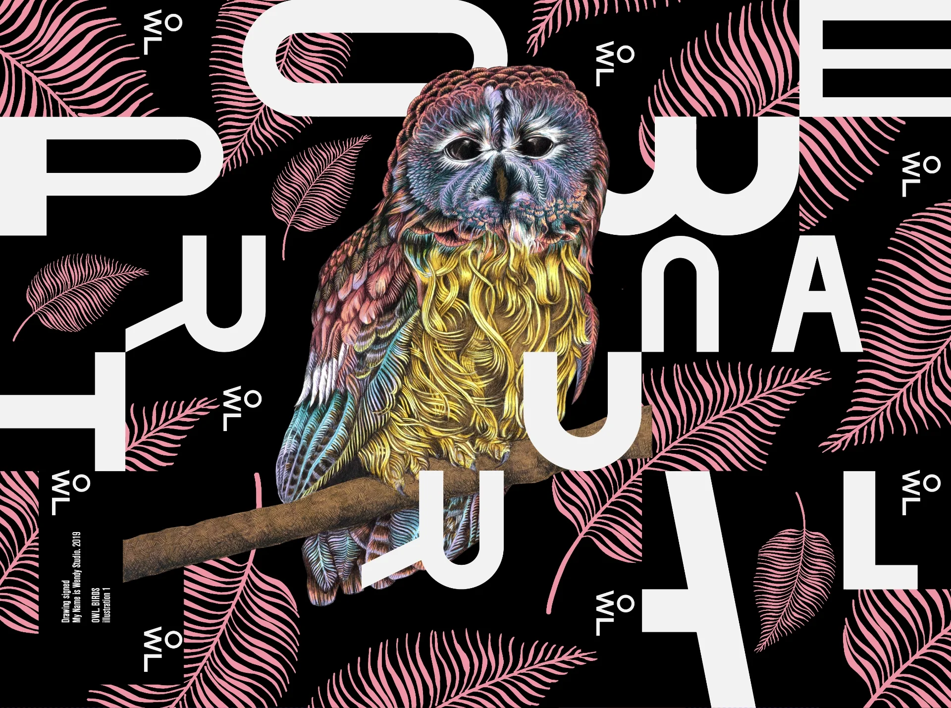 owl-drawing-illustration-graphic Illustration and drawing representing an owl drawed on a typographic composition for decoration and fashion world