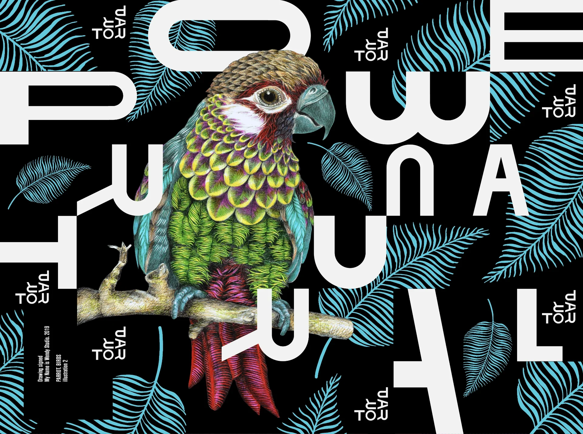 parrot-bird-drawing-graphic-design Illustration representing a parrot drawed on a typographic composition for decoration and fashion world