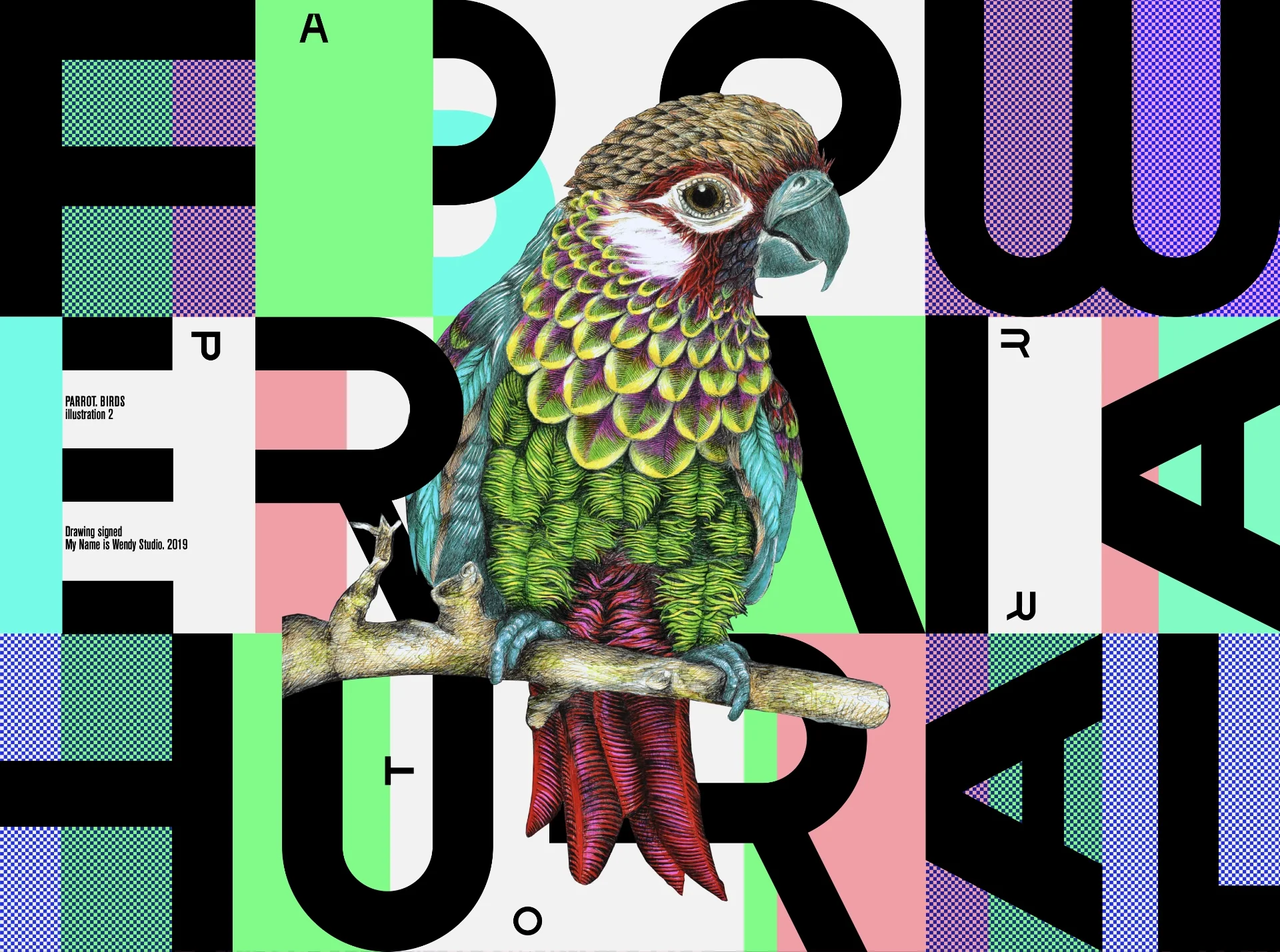 parrot-illustration-graphic-artwork parrot-Drawing of a parrot in a graphic and typographic atmosphere using pink, green and purple colors
