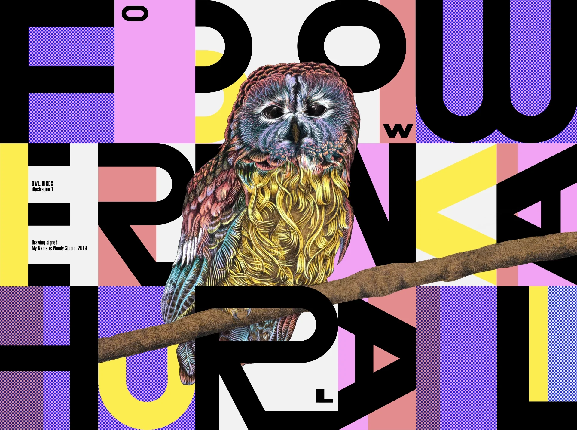 type-composition-illustration-birds owl-Drawing of an owl in a graphic and typographic atmosphere using orange, pink, yellow and purple colors