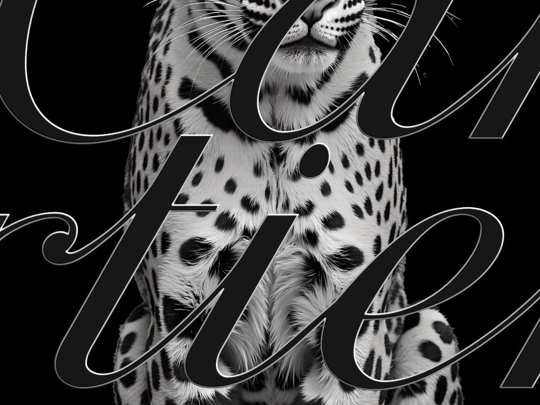 layout for Cartier Razny luxury jewellry